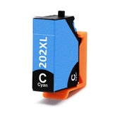 cyaan